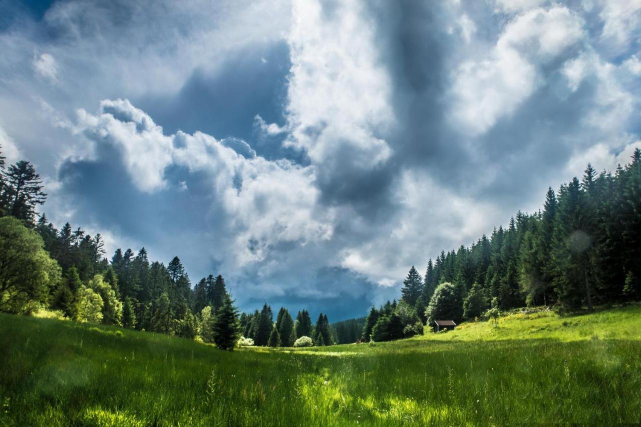 Chalet Le Quartz Des Hautes-vosges